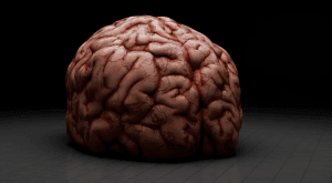 Ego : Histoire d’une bombe vivante virtuelle