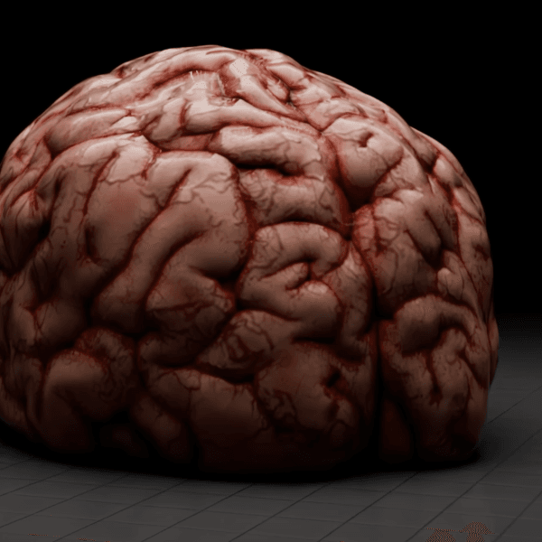 Ego : Le jour où l’homme a battu la machine !!